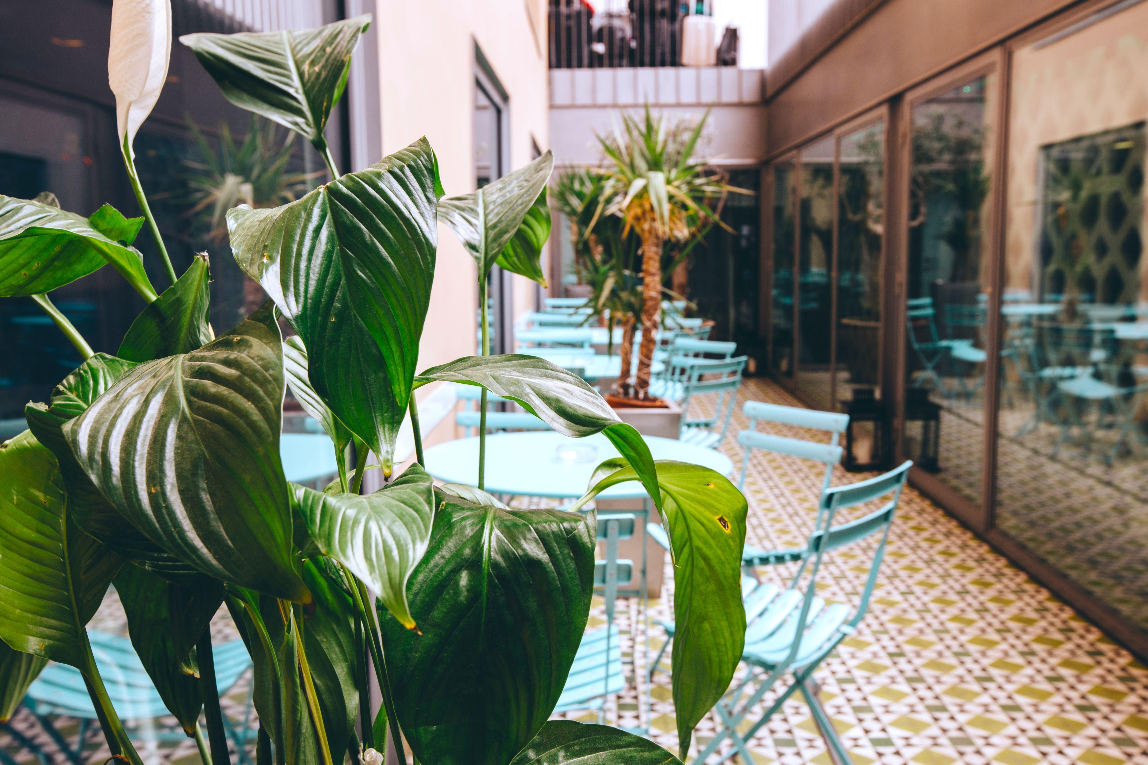 St Christopher'S Inn Barcelona — Photos 2